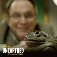 KD-Unearthed-African-Bullfrog